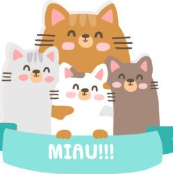 Blog de gatos
