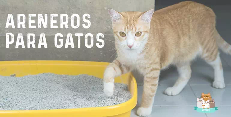 areneros para gatos