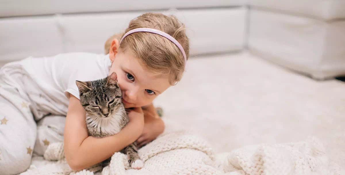 ¿Cómo elegir una raza de gato?