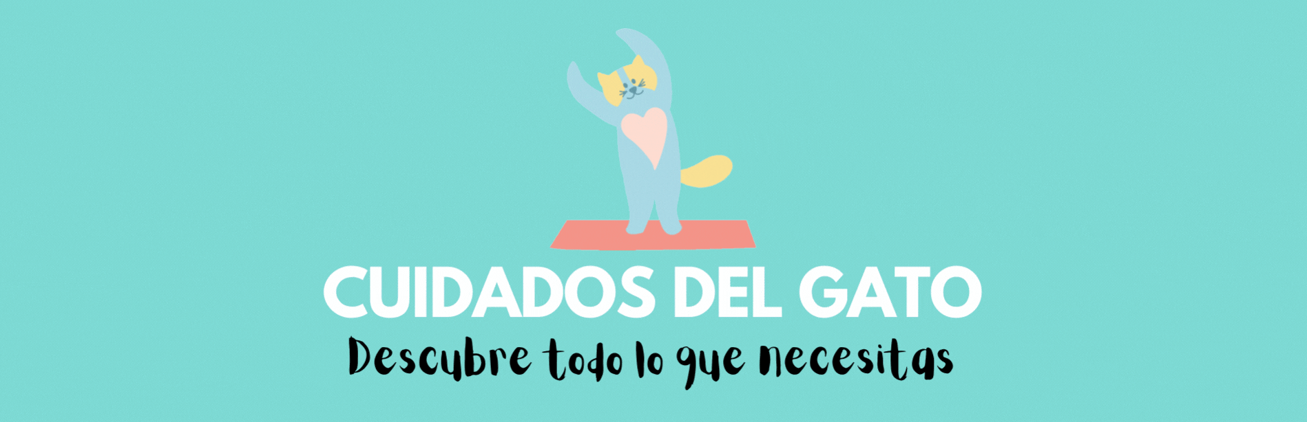 ¿Cómo cuidar un gato angora turco?