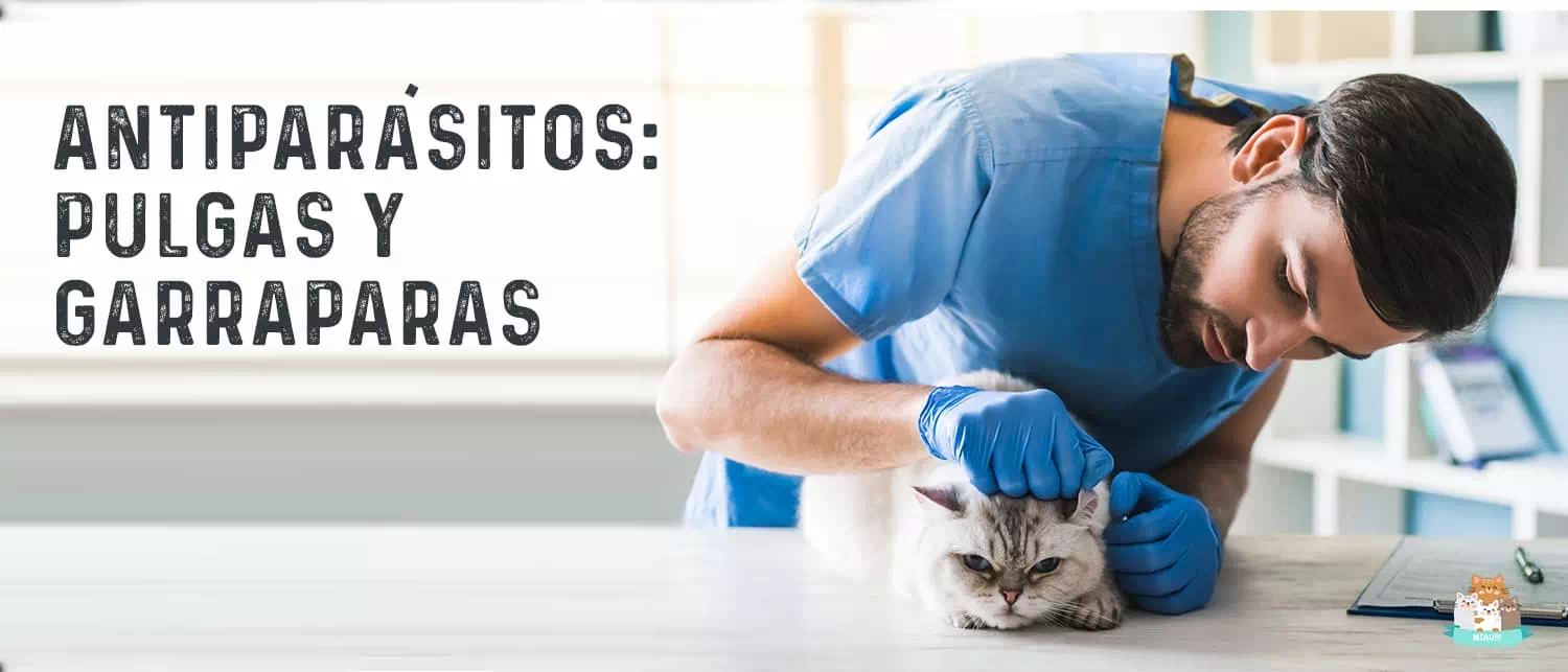 Mejores Antiparasitario de pulgas y garrapatas para gatos