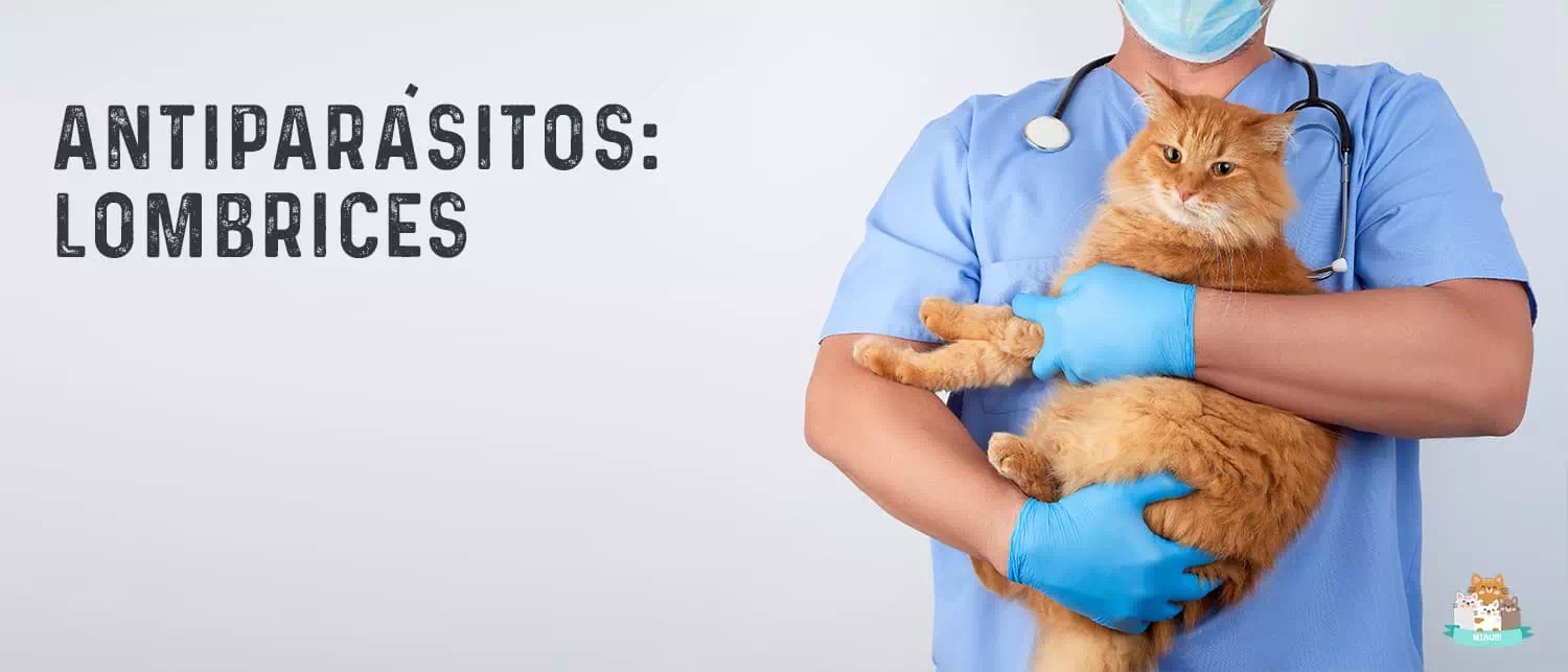 Mejores Antiparasitarios de Lombrices en gatos