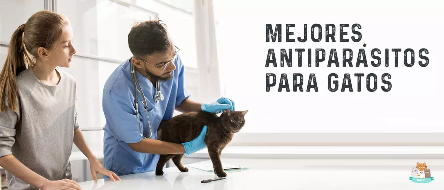 mejores antiparásitos para gatos