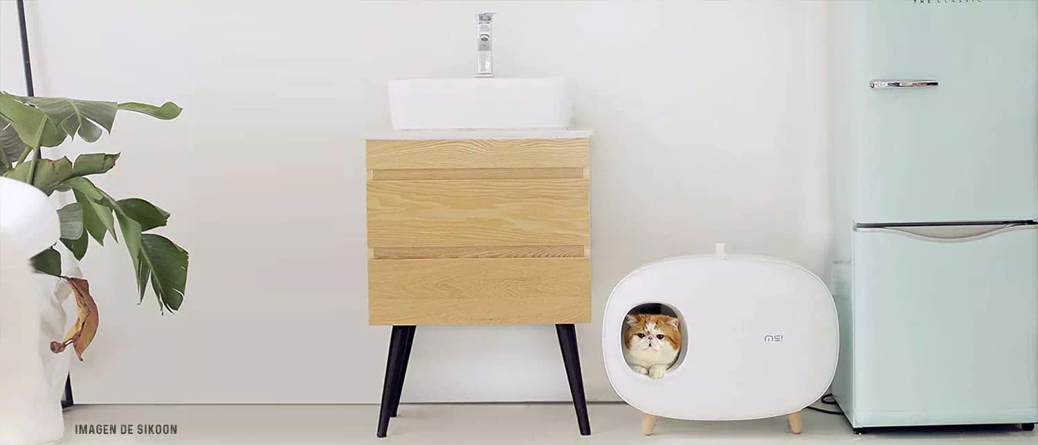 mejores areneros caros para gatos