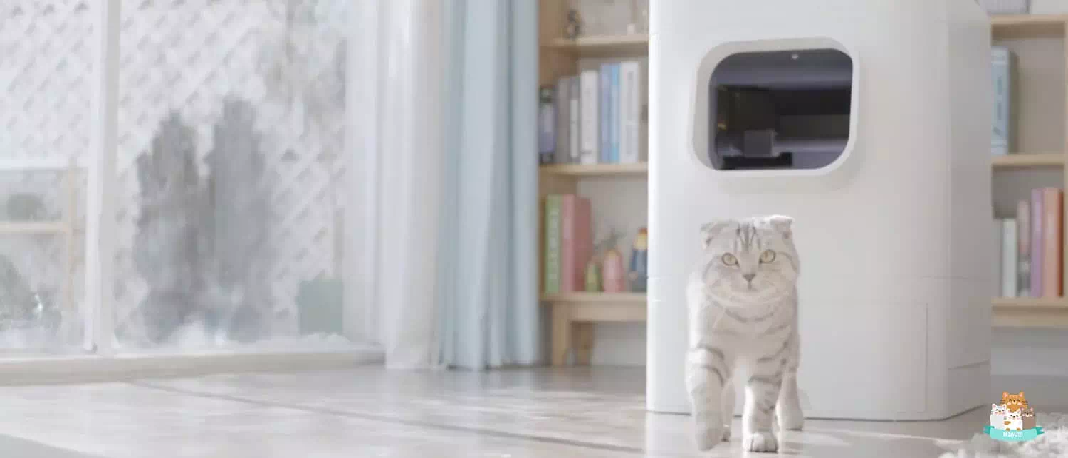 mejores areneros para gatos autolimpiables