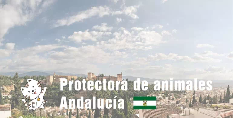 protectora de animales de Andalucía