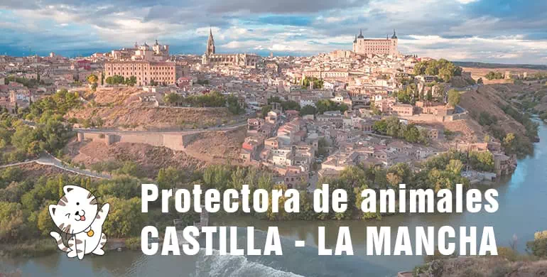 protectora de animales de Castilla - La Mancha