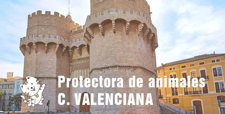 protectora de animales de Comunidad Valenciana