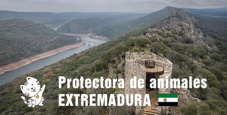 protectora de animales de extremadura